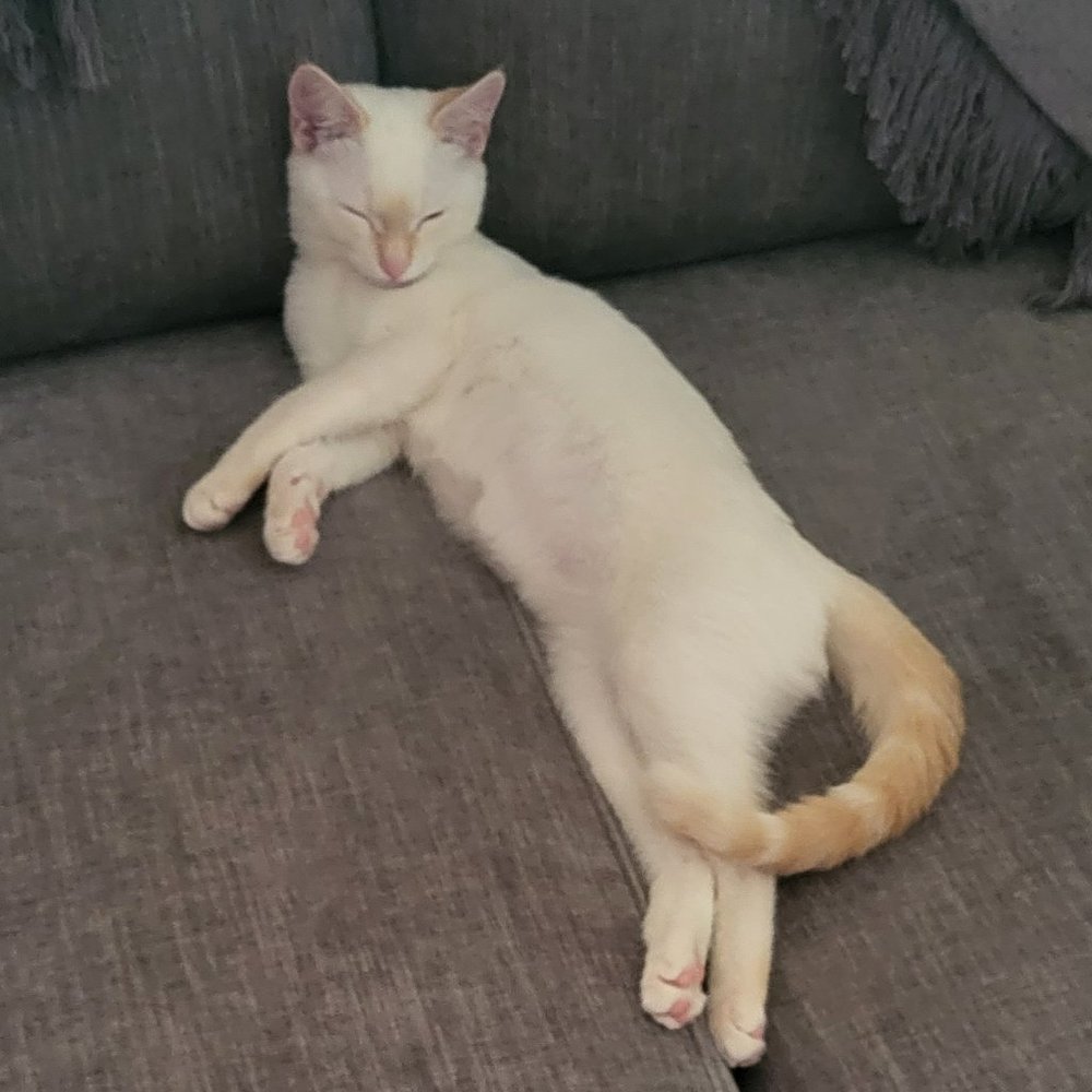 😺😽😹CLOSET CLEANOUT - MAKE ME AN OFFER BEFORE IT'S GONE!!😺😽😹